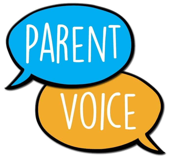 Parent Voice: knowledge, values and viewpoint